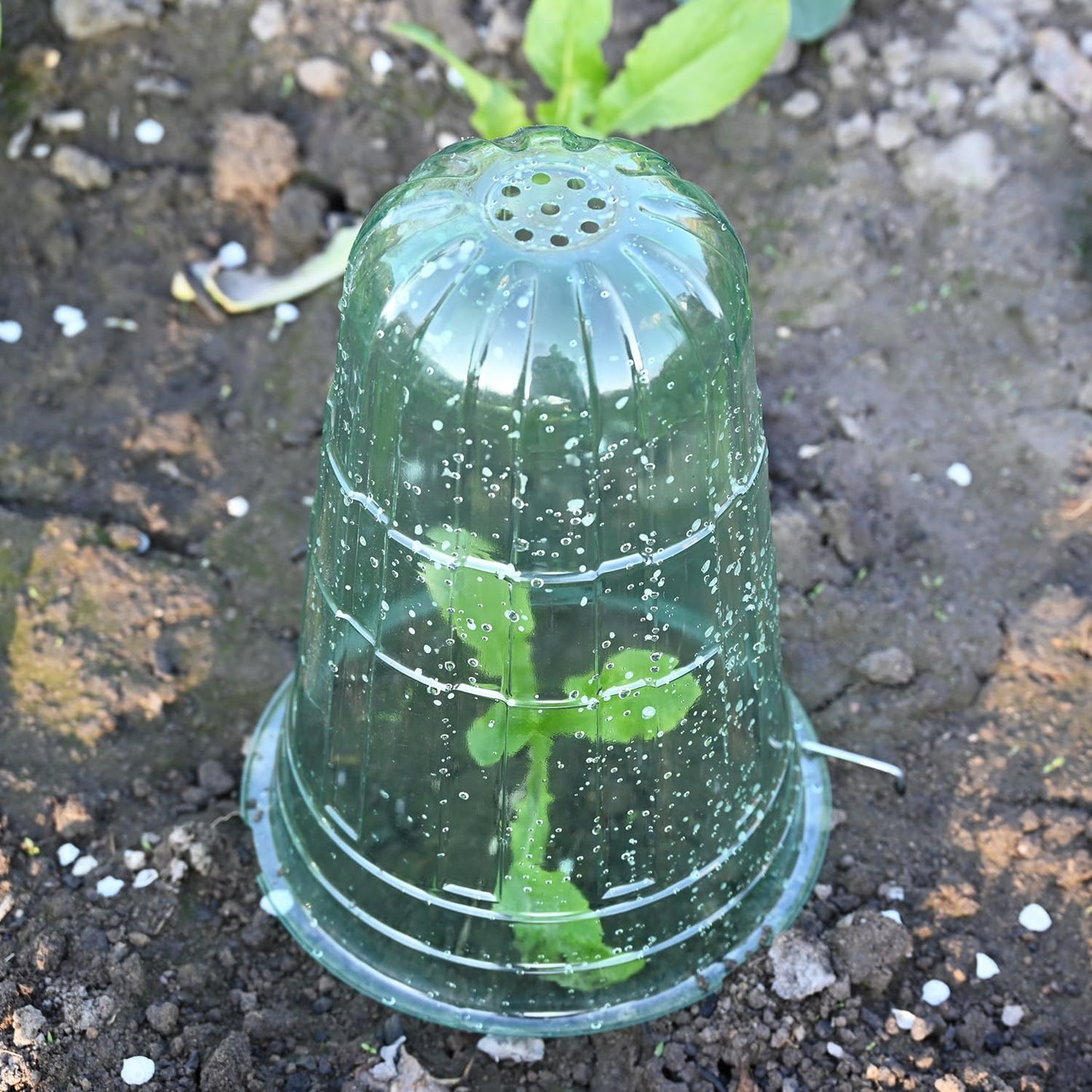 JUSUFU 10 Pack Garden Cloches for Plants, Reusable Bell Plant Protector, Garden Protection from Animals Snails Birds Chickens Insect, 9.85" H X 7.3" D (Green)