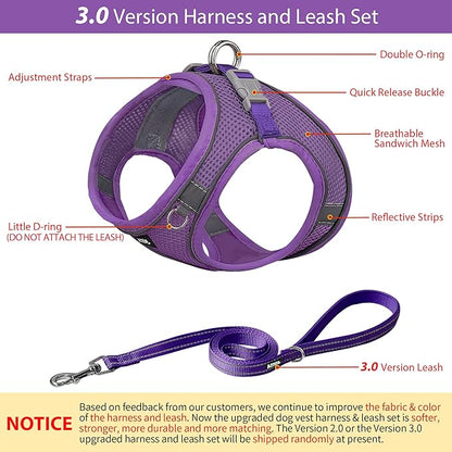 AIITLE Easy Walk Dog Harness and Leash Set - Pet Supply No Pull, Step in Adjustable Dog Harness with Padded Vest, Dog Harness No Choke Over, Easy to Put on Medium Dogs Pure Purple L