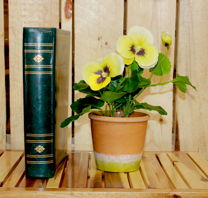Worth Imports 10" Yellow Pansy in 4" Pot