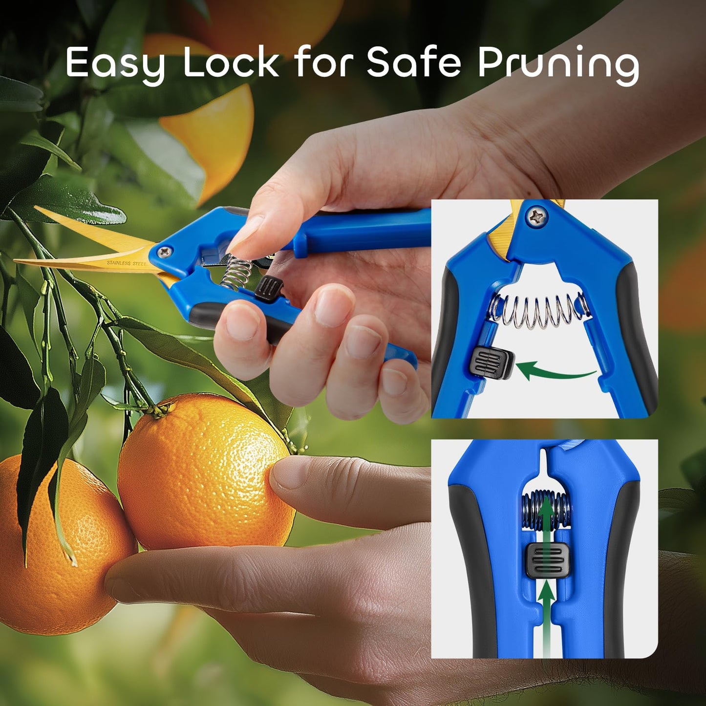 GROWNEER 6 Packs 6.5 Inch Pruning Shears with Curved Blades Trimming Scissors For Gardening Hand Pruning Snips Titanium Coated Precision Blades