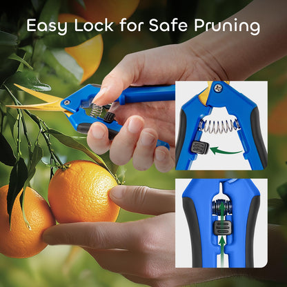GROWNEER 6 Packs 6.5 Inch Pruning Shears with Curved Blades Trimming Scissors For Gardening Hand Pruning Snips Titanium Coated Precision Blades