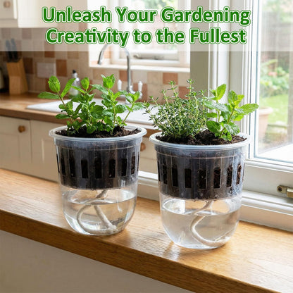 Ferrochef 50 Pcs 3.7 Inches Clear Hydroponic Pots Kit Includes Self Watering Nursery Cups with Humidity Domes, Grow Baskets & Absorbing Wicks Reusable Seed Pots for Indoor Plants Herbs Seedling