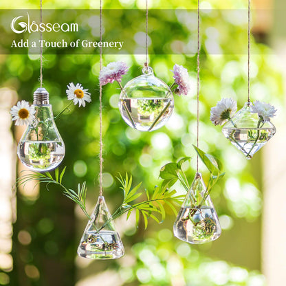 Glasseam Hanging Planters Glass Terrarium: 5Pcs Modern Plant Propagation Stations Hydroponic Wall Vases for Air Plants Flowers Indoor Window Home Decor
