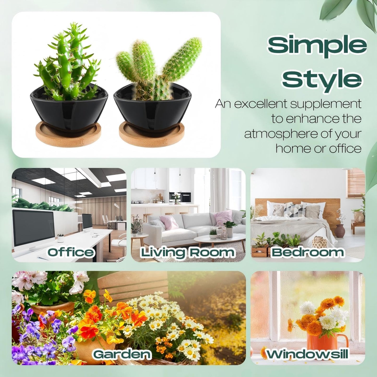 Domensi 12 Pack Succulent Planter Pots 3 Inch Small Plant Pots Mini Ceramic Succulent Planter Holder with Drainage Holes and Bamboo Saucers (White)