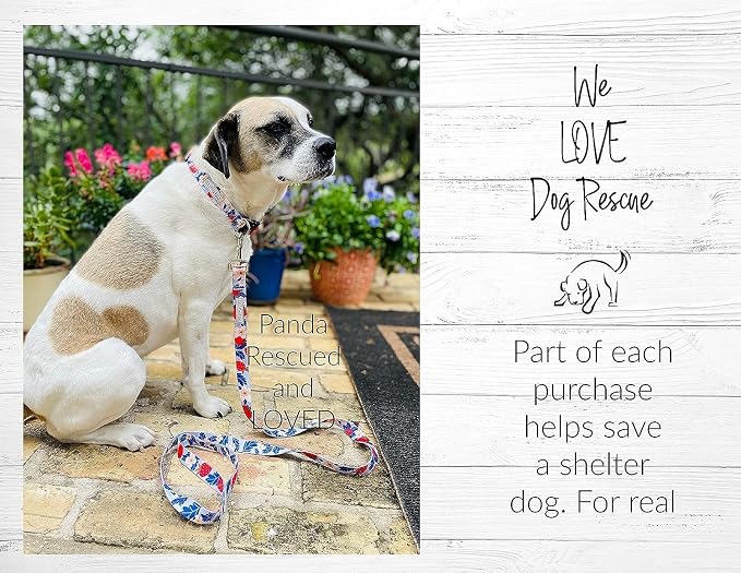 Lucky Love Dog Martingale Collar and Leash Set, Premium Fun Girl No Slip Collars, Strawberry Martingale Dog Collar and Leash Set, Great for Whippets, Greyhounds, and More (Sweet Berry, Small - Combo)