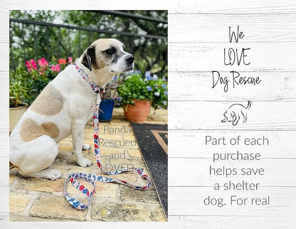 Lucky Love Dog Martingale Collar and Leash Set, Premium Fun Girl No Slip Collars, Strawberry Martingale Dog Collar and Leash Set, Great for Whippets, Greyhounds, and More (Sweet Berry, Small - Combo)