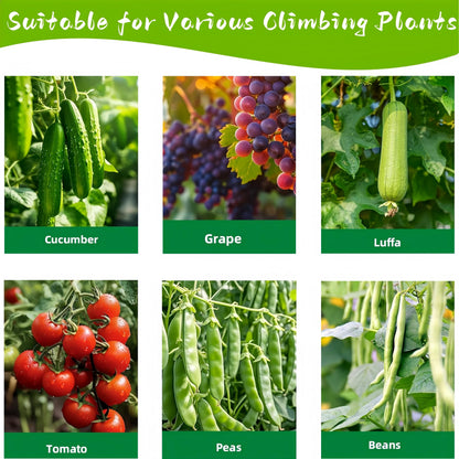 Heavy Duty Cucumber Trellis for Raised Bed, U-Shape Garden Trellis for Climbing Plants Outdoor, Metal Arch Vegetables Trellis, Plant Support for Grape Vine Tomato Pea Bean Squash (Green 48x48X32)