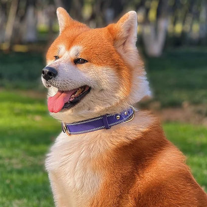 Genuine Leather Dog Collar, Heavy Duty Wide Dog Collar for Small, Medium, Large and Extra Large Dogs (M: 1" Wide for 15.2"-19.2" Neck, Dual Stitch - Purple)