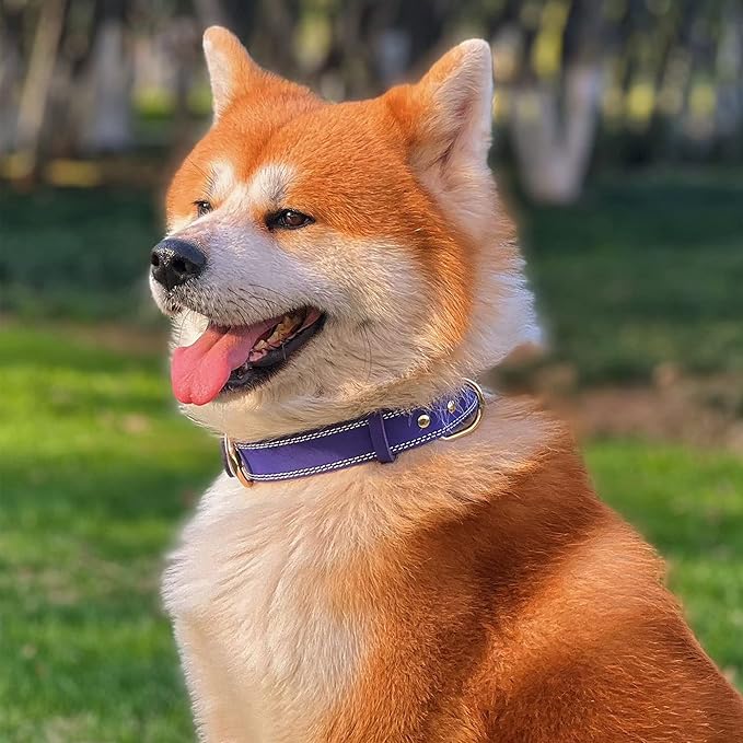 Genuine Leather Dog Collar, Heavy Duty Wide Dog Collar for Small, Medium, Large and Extra Large Dog (S: 0.8" Wide for 13.4"-15.8" Neck, Dual Stitch - Purple)