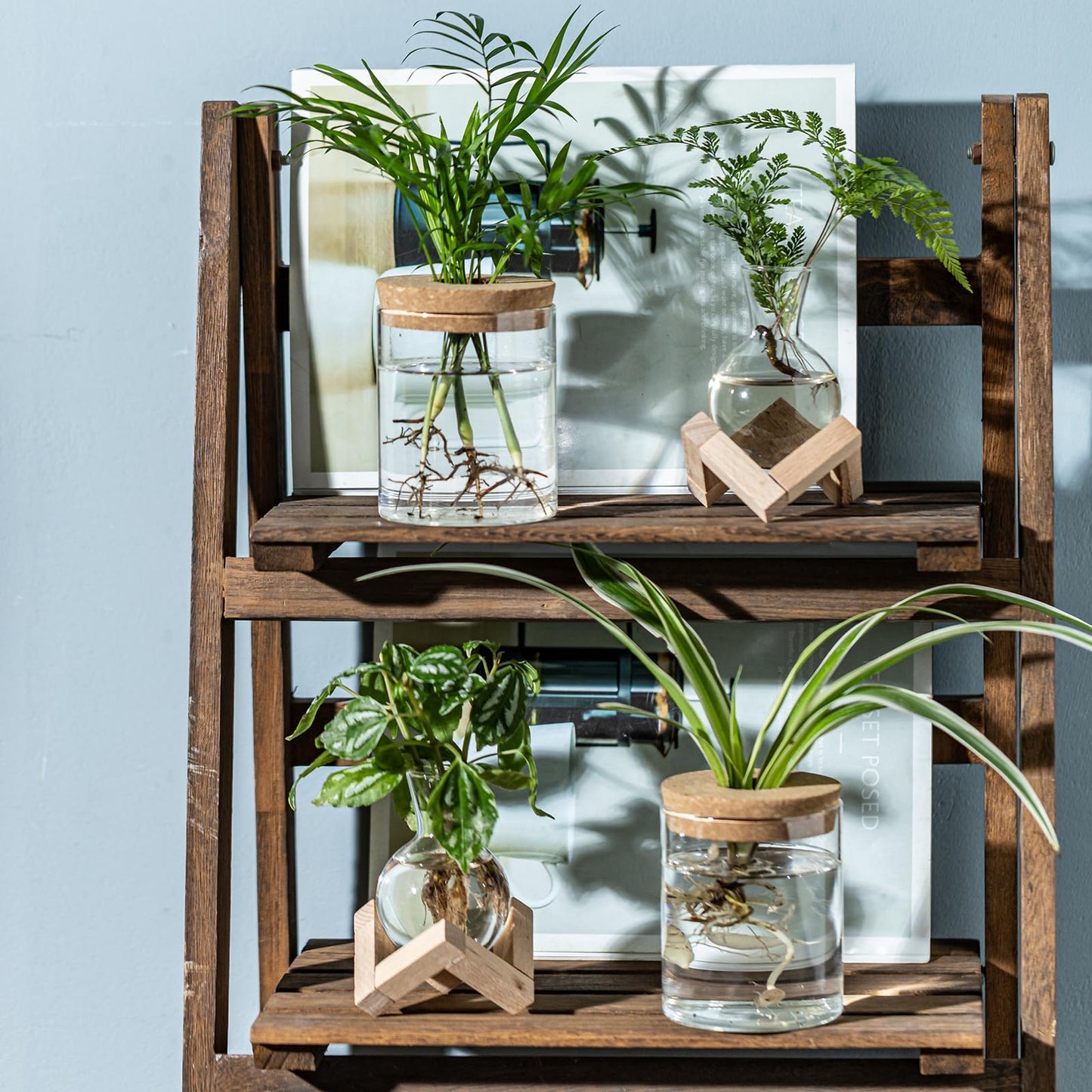 JGKYLDZ Plant Propagation Station, 2 Style Glass Planter Terrarium Set for Hydroponic Plants | Home Office Tabletop Decor, Gardening Gifts for Women, Mom, Plant Lovers (12)
