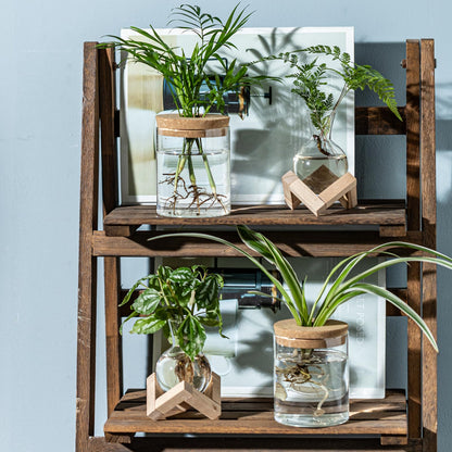JGKYLDZ Plant Propagation Station, 2 Style Glass Planter Terrarium Set for Hydroponic Plants | Home Office Tabletop Decor, Gardening Gifts for Women, Mom, Plant Lovers (12)