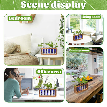 Glass Plant Propagation Station with 5 Test Tubes Colorful Planter Vase Birthday Gifts for Women in Wooden Stand
