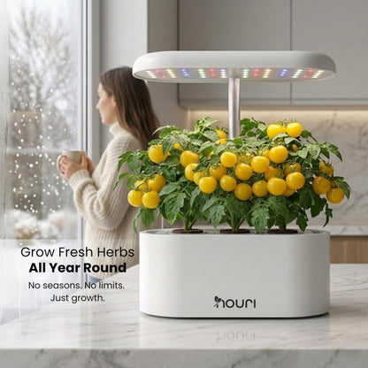 Nouri Hydroponics Growing System, 5 pod APP Smart Indoor Herb Garden Kit with LED Grow Lights, Hydroponic Herb Garden Indoor for Plant Lovers, Gardeners, Kitchen, Tomato Seeds Included