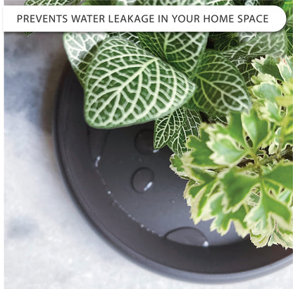 LOOPSEED Plant Saucer 6 Pack Drip Trays Planter Pot Base Heavy Duty Plastic Drainage Tray for Indoor Houseplants Outdoor Garden 5 inch 8 inch 11 inch 3 Sizes 2 Each Round (Brownish Black)