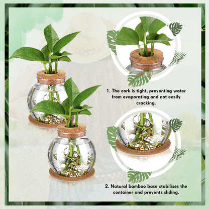 Baderke 12 Packs Propagation Vases for Plants Plastic Plant Propagation Station with Hole Lid and Cork Coasters Plant Growing in Water Hydroponic Home Office Table Decoration(Fish Bowl Style)