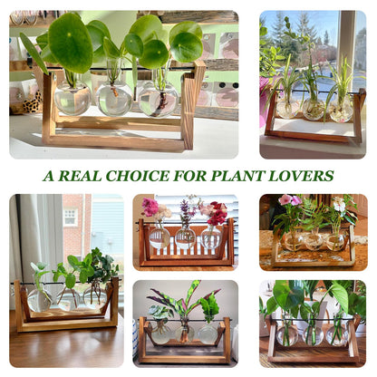 Renmxj Plant Propagation Stations with Wooden Stand & 3 Glass Bulb Vases - Plant Terrarium for Indoor Plants, Home Office Desk Decor, Gardening Gifts for Women Mom, Birthday Gifts for Plants Lovers