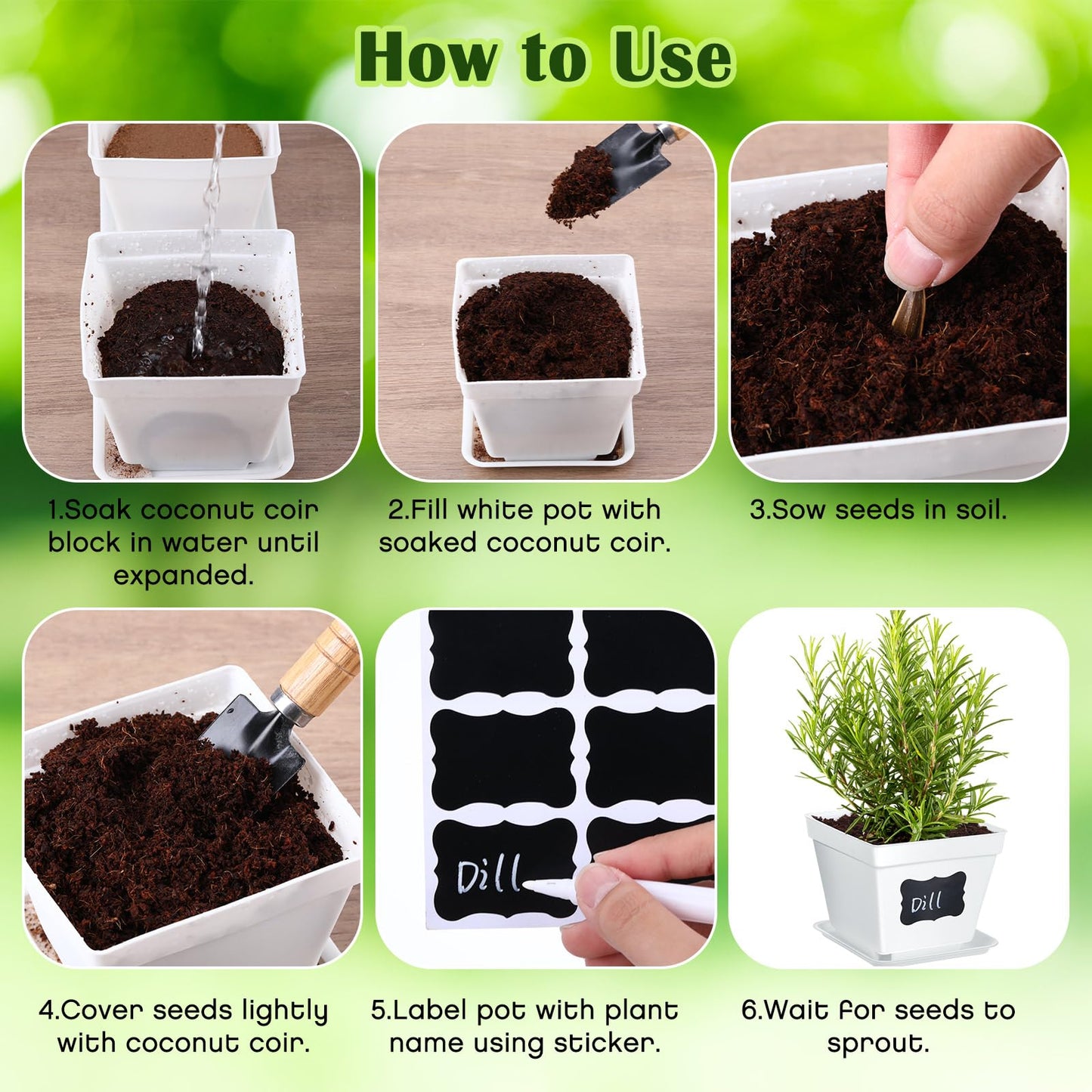 Ripeng 10 Set Indoor Herb Garden Starter Kit, Herb Growing Kit with Pots, Nutritional Soil, Plant Markers, Kitchen Window Planter, Gardening Gift for Women Men Indoor Outdoor