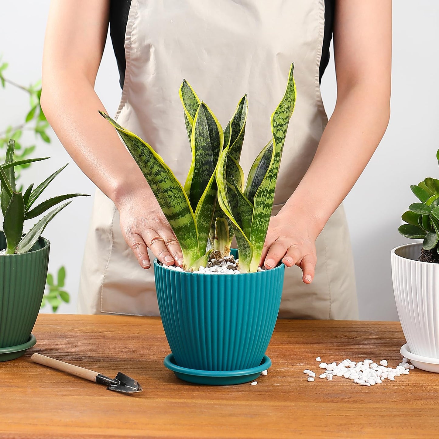 YENXIKU 6 Inch Plant Pots with Self Watering Planter Insert - Flower Pots for Indoor Plants with Drainage Holes and Saucers - Gardening Pots, Planters & Accessories for Orchid and Succulent, 5 Packs
