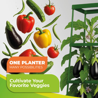 BioGreen 2 Pack Garden Tomato Planter MAXITOM, with Plant Support Trellis 59 inch and Self Watering, 4,2 Gal Planter Box for Climbing Vegetables Plants, Terracotta