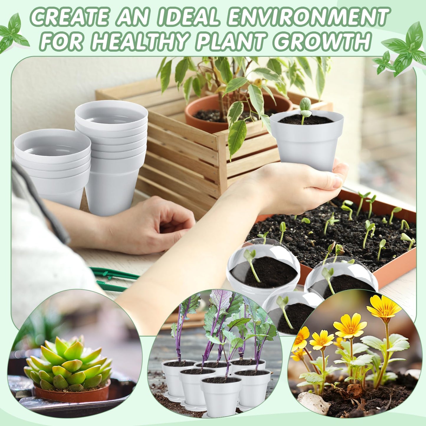 Domensi 80 Pcs 3 Cupcake Plant Nursery Pots with Humidity Dome and Saucer Small Plastic Gardening Pot Plant Containers Cups Seedling Planter Seed Starter Pots for Flower Succulent Indoor (White)