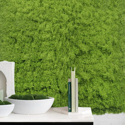 FAICOIA Fake Moss for Crafts 39" x 39" Faux Moss Mat for Plants Indoor Green Artificial Moss Rug for Decorating Planters Crafts DIY Table Centerpieces Fairy Garden Floral Wedding 100 x 100cm
