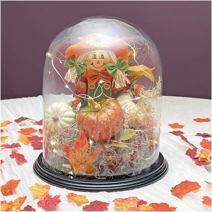 Plymor 8" x 10.25" Glass Display Dome Cloche (Black Wood Veneer Base)