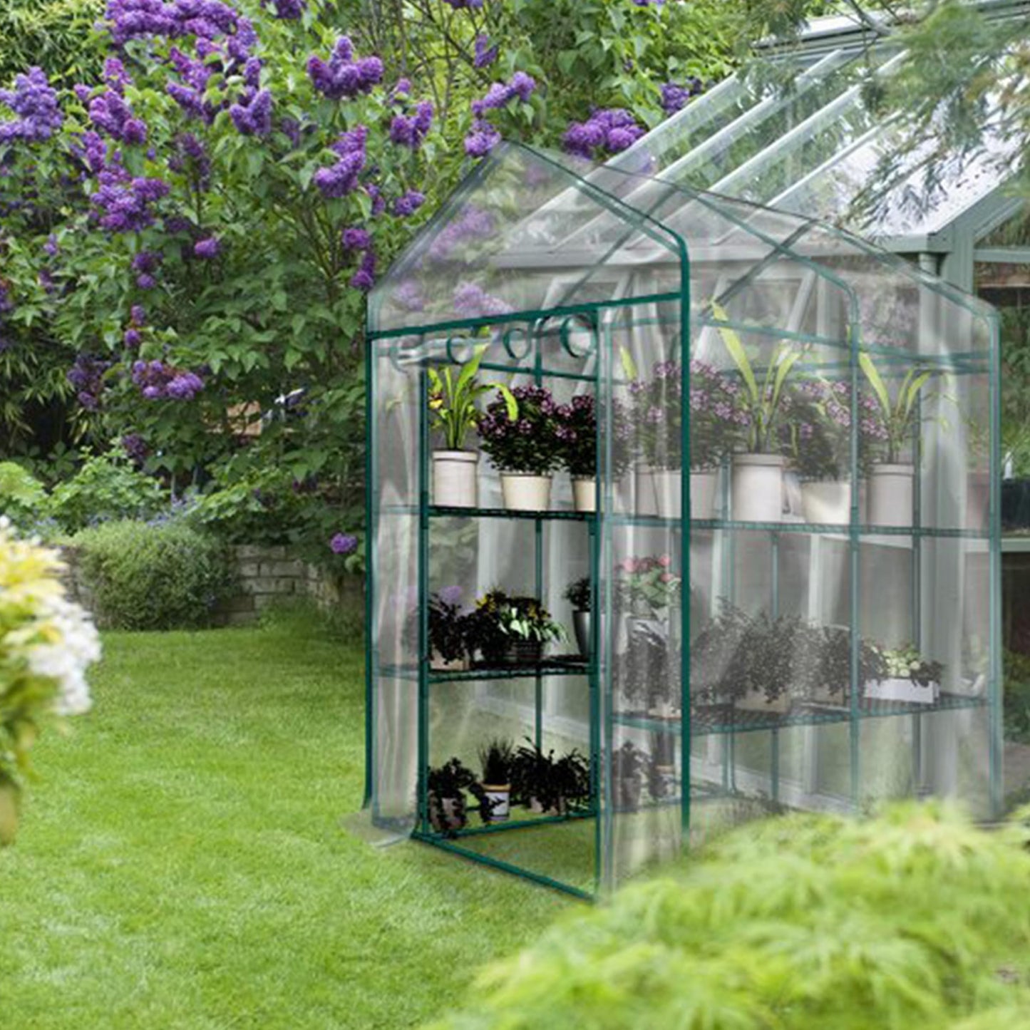Greenhouse - Walk in Greenhouse with 8 Sturdy Shelves and PVC Cover for Indoor or Outdoor Use - 56 x 56 x 76-Inch Green House by Pure Garden
