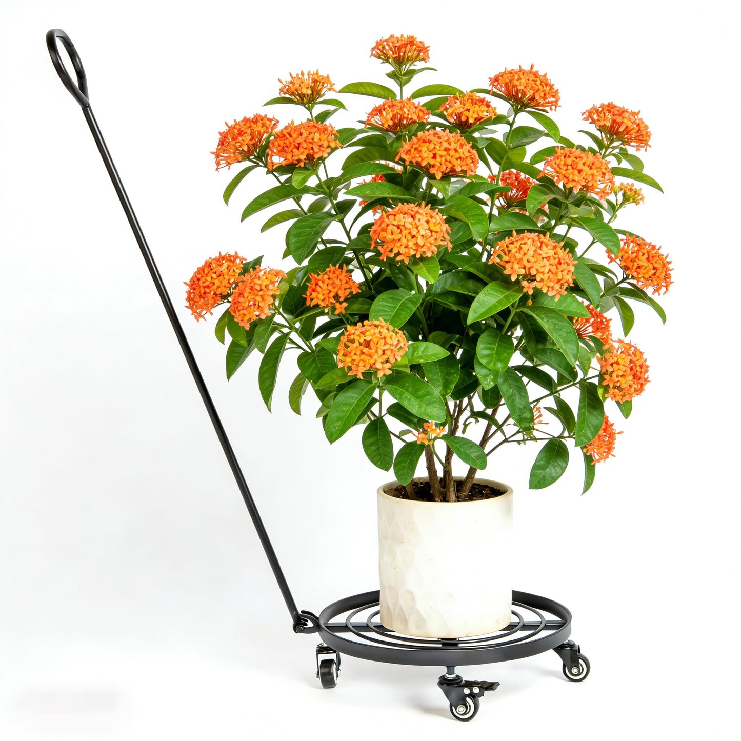 Goooxim 14" Plant Dolly with Wheels - Heavy Duty Rolling Planter Base, Lockable Wheels, Detachable Handle, Ideal for Indoor/Outdoor Use with Large Pots and Easy Transport Solutions