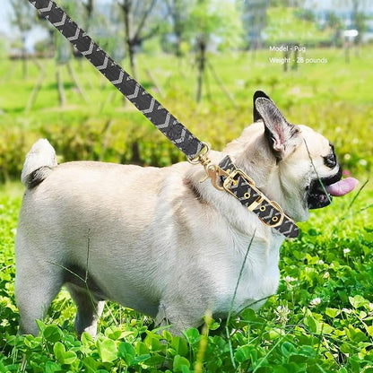 Leather Dog Collar and Leash Set, Check Pattern Dog Collar Leashes Metal Buckle Adjustable Durable for Small Medium Large Dogs (Black, M(11.8-15IN))