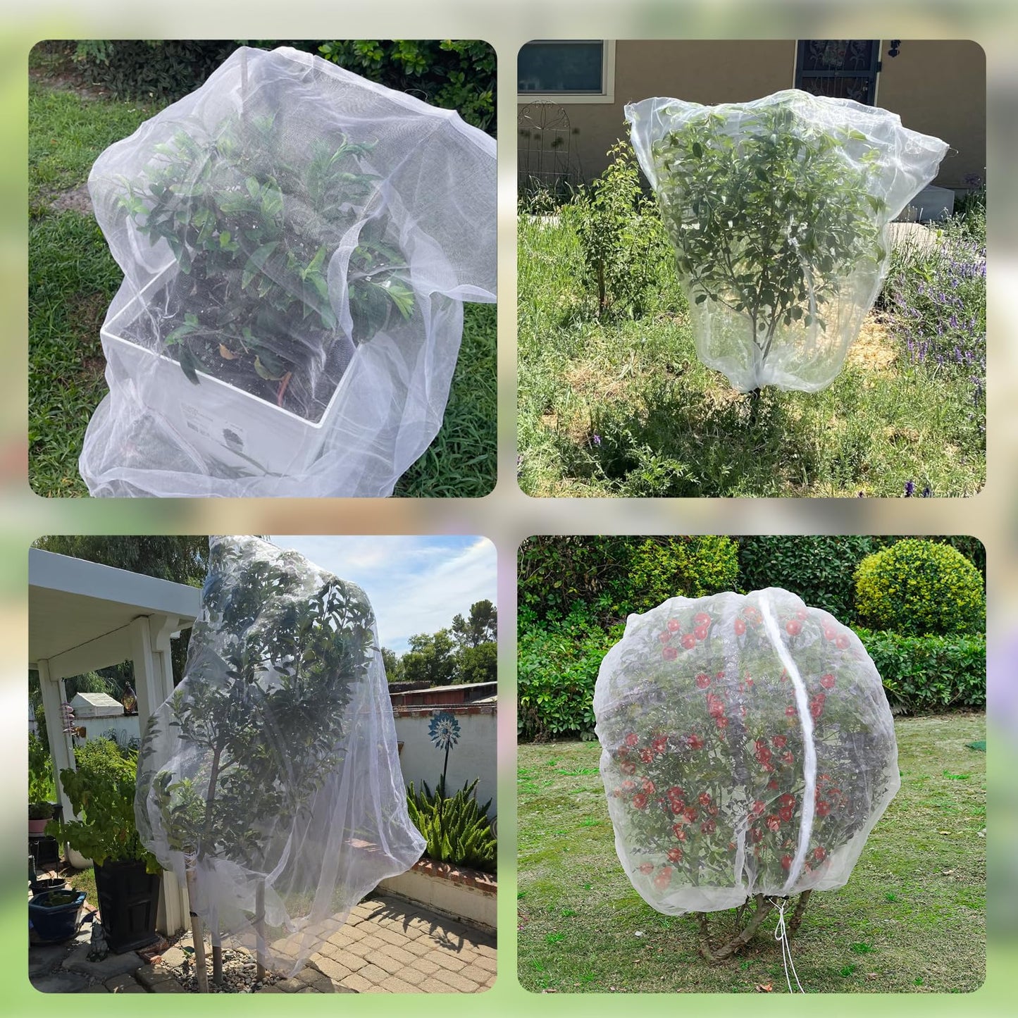 6FT x 6FT Fruit Tree Netting with Zipper and Drawcord, 2Pcs Garden Plant Net Pest Barrier Bag, Insect Bird Mesh Netting Cover for Protect Vegetables Flower Blueberry