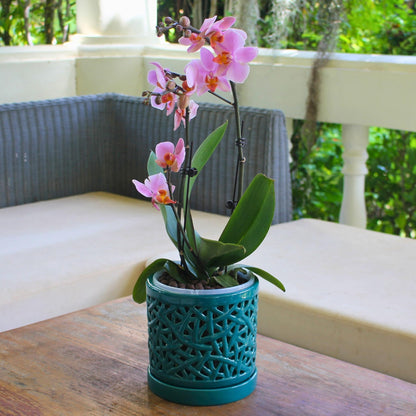 DESQUIGGLE Set of 4 Large Ceramic Orchid Pots with Holes