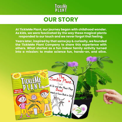 TickleMe Plant Deluxe Family Greenhouse Kit - Grow the Playful Plant that Closes Its Leaves When Tickled! Includes Mini Greenhouse, 3 Seed Packets, Soil Pellets & Pots - Fun Indoor Gardening Gift
