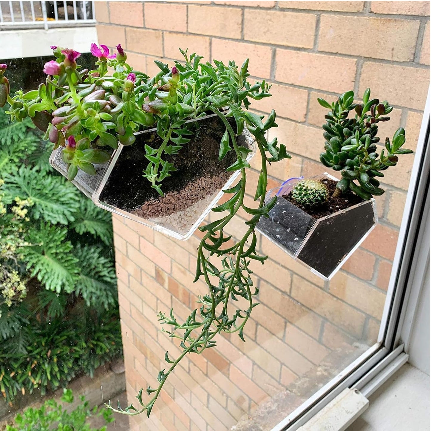 wdcfxy Transparent Acrylic Diamond Shape Suction Cup Window Planter, Ideal for Succulents, Cactus, Boxes or Indoor Herbs Pots, Home Decor Plant Holder or Kitchen