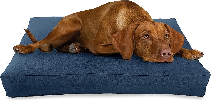 X-Small -24 x 18 x 4 - Blueberry Premium Organic Hemp Dog Bed - CertiPUR Fill - Removeable Cover