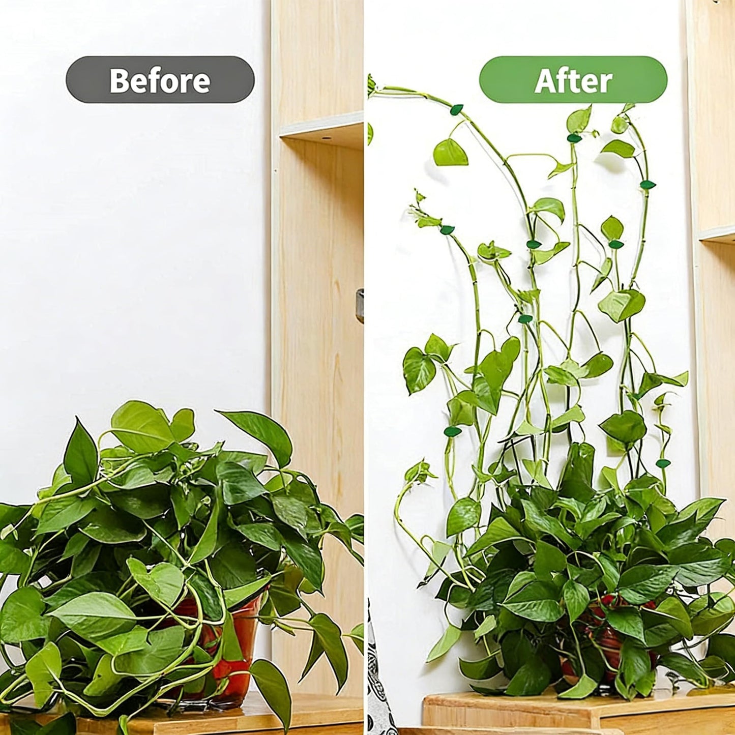 Odetina 2026 New Plant Clips for Climbing Plants, 10 Pcs Green Leaf Shaped Self-Adhesive Plant Wall Clips, Plant Climbing Wall Fixture Clips for Vine Support, Wall Plant Holder & Cable Organization