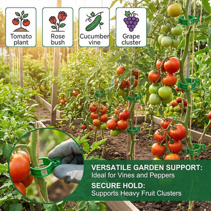 300Pcs Tomato Clips Plastic Plant Support Clips for Garden Trellis Twine and Greenhouse Vine Support Garden Clips for Tomatoes Cucumbers Peppers Climbing Vegetables and Flowers Upright Growth