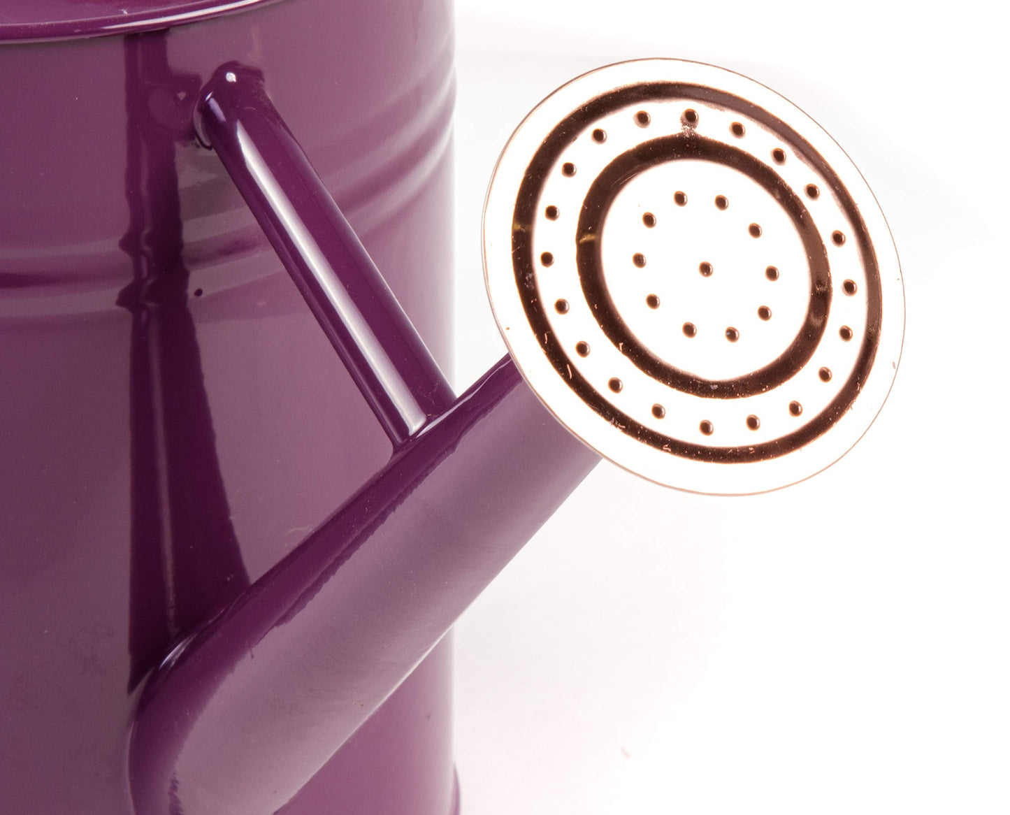 Gardman R34881 1 Gallon Watering Can, Deep Violet