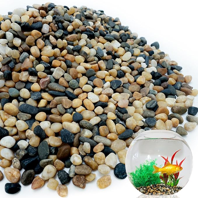 NUPICK 6 lb Aquarium Gravel, 1/4" Ph-Natural Pea Gravel for Fish Tank,Small River Rocks for Plants, Decorative Aquarium Pebbles for Vase Fillers, Landscaping, Succulent, Cactus, Terrarium, Bird Bath