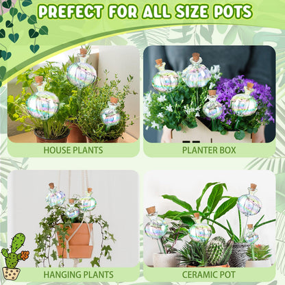 6 Pcs Plant Watering Globes Self Watering Globes Cactus Self Watering Planter Insert Automatic Plant Watering Devices Glass Plant Watering Bulbs for Summer Indoor and Outdoor Plants(Mixed Color)