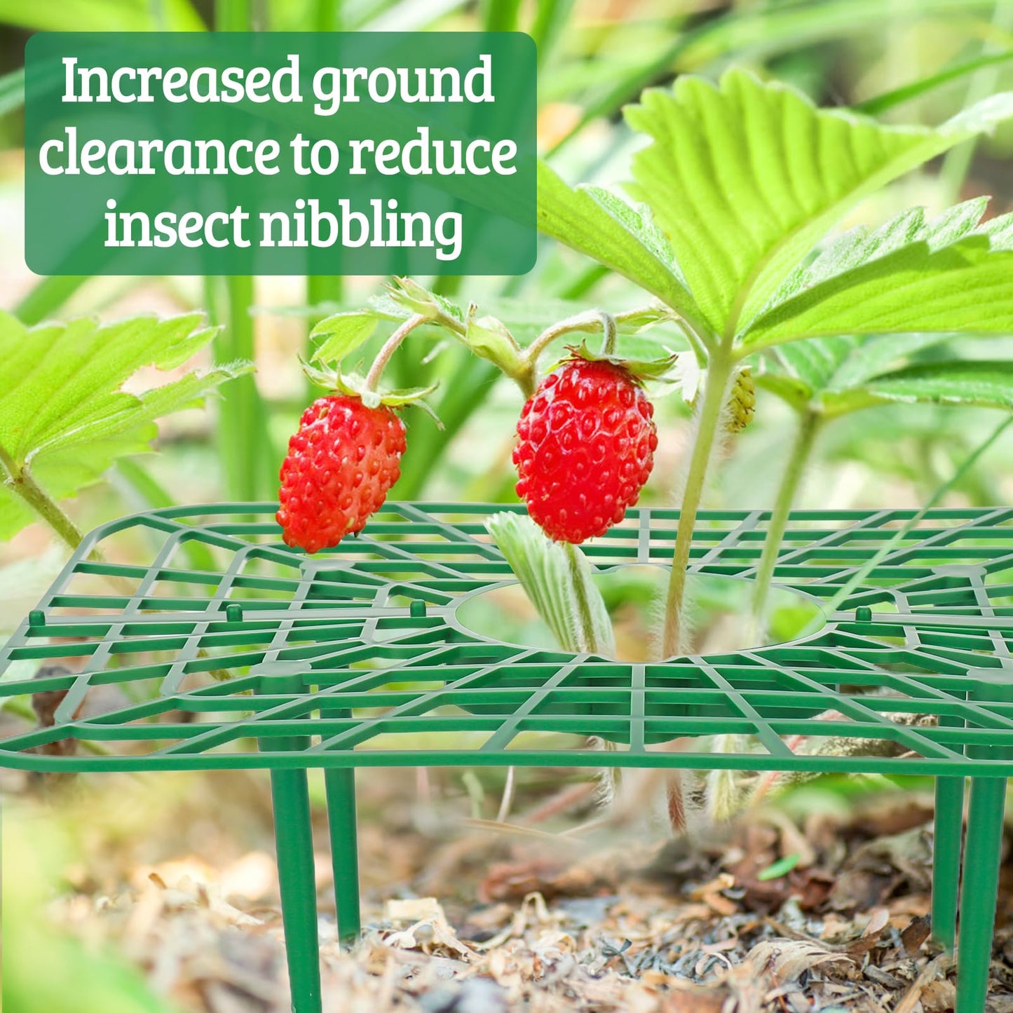 6 Sets Strawberry Plant Supports with Mesh Plant Cover,Strawberry Growing Racks with Metal Plant Nails and Storage bag for Strawberry Vegetables，Used to protect strawberries and keep them clean