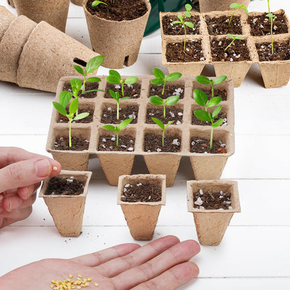 Doter 10 Packs Seedling Starter Trays 120 Cells, Biodegradable Seed Germination Trays Plant Starter Peat Pots for Seedlings
