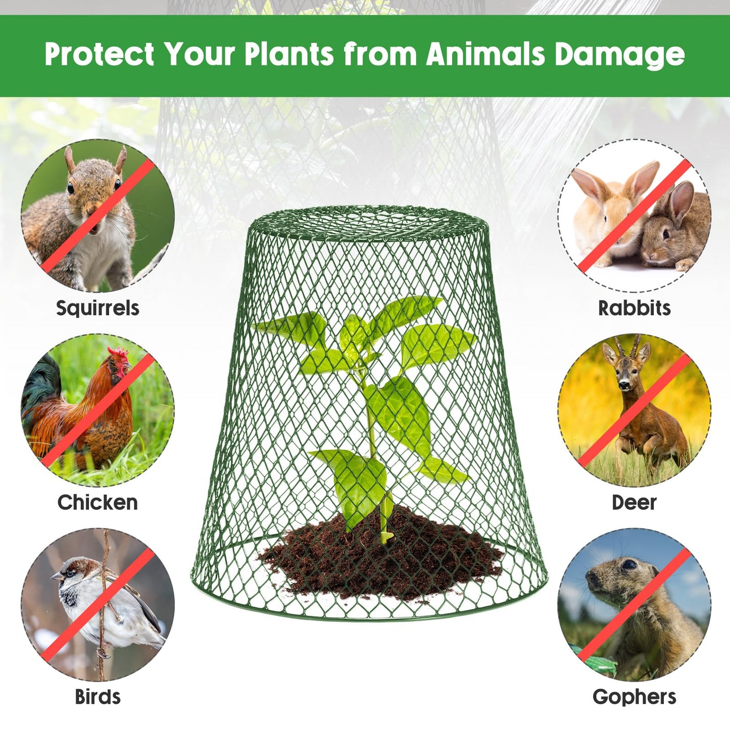 Geosar 10 Pcs 9 Inch Chicken Wire Cloche Plant Protector Cover Metal Garden Cloche Netting Protection Cages Vegetables Flowers with Garden Stakes Avoiding Chicken Rabbit Squirrels Birds (Green)