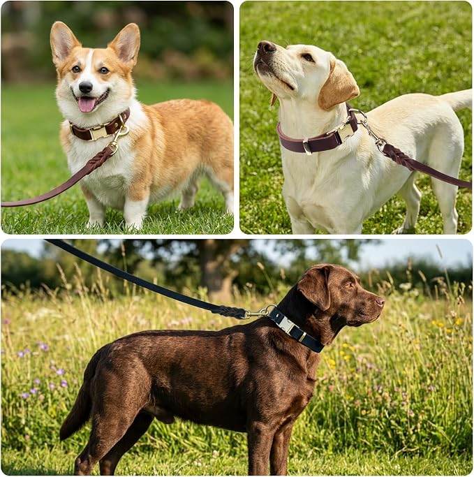 Leather Dog Collar and Leash Set, 5FT Heavy Duty Leather Training Leash with Adjustable Dog Collar, Soft and Durable Dogs Leashes and Collars Set for Small Medium Large Dogs (Brown, S)
