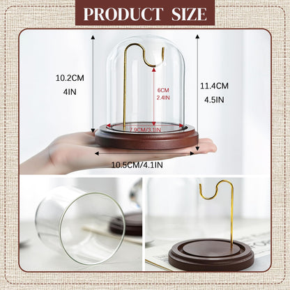 H&D HYALINE & DORA 3 x 4 Inch Clear Watch Glass Display Dome Cloche With Hook and Wooden Base, Bell Terrarium Jar for Watch Plants Medals Photos Collectibles