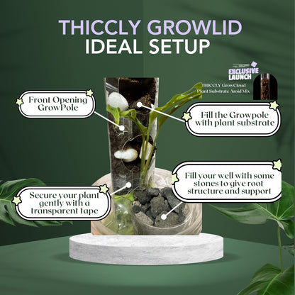 THICCLY Medium GrowLid 5 Pcs (Royal Blue) - Self Watering Clear D-Shaped Plastic Moss Pole Hydroponics Growing System Kratky Hydroponic Kit Moss Pole Monstera Plant Support Philodendron and Anthuriums