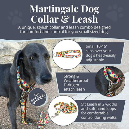 Lucky Love Dog Martingale Dog Collar & Leash - Adjustable, No-Slip, Durable, Comfortable, Soft Webbing, & Stylish Patterned Collar & Leash Set for Male and Female Dogs - Oscar Combo, Small