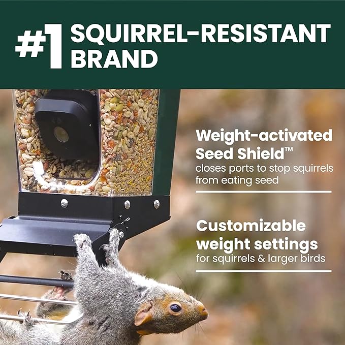 Perky-Pet Solar Powered Smart Bird Feeder with Camera - Squirrel-Resistant, 3.2L Capacity, Motion Activated 1080p HD WiFi Live Stream Camera, SPCAM, SPCAMSLR - Camera Feeder Gift Idea, Yellow