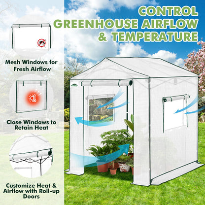 EAGLE PEAK 6x6 Portable Pop Up Greenhouse, Patented Center Lock Easy One Person Setup, Walk-in Outdoor Greenhouse with Gable Roof, Weight Bags, Zippered Doors & Windows, White