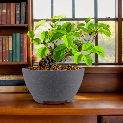 TINYVISTA 8.26” Gray Ceramic Bonsai Pot with Drainage Holes - Large Unglazed Clay Planter for Ficus Trees, Succulents & Indoor Plants, 4" Deep Round