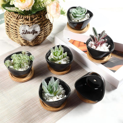 Domensi 12 Pack Succulent Planter Pots 3 Inch Small Plant Pots Mini Ceramic Succulent Planter Holder with Drainage Holes and Bamboo Saucers (White)